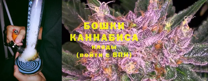 что такое   Бежецк  Бошки Шишки OG Kush 